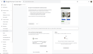 Google Merchant Center Business Agent Setup